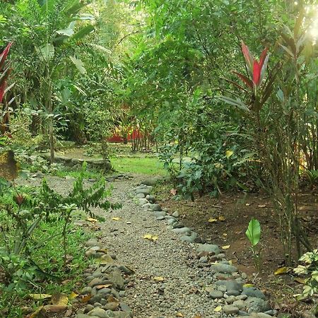 Bed and Breakfast Casa Moabi Cocles Esterno foto